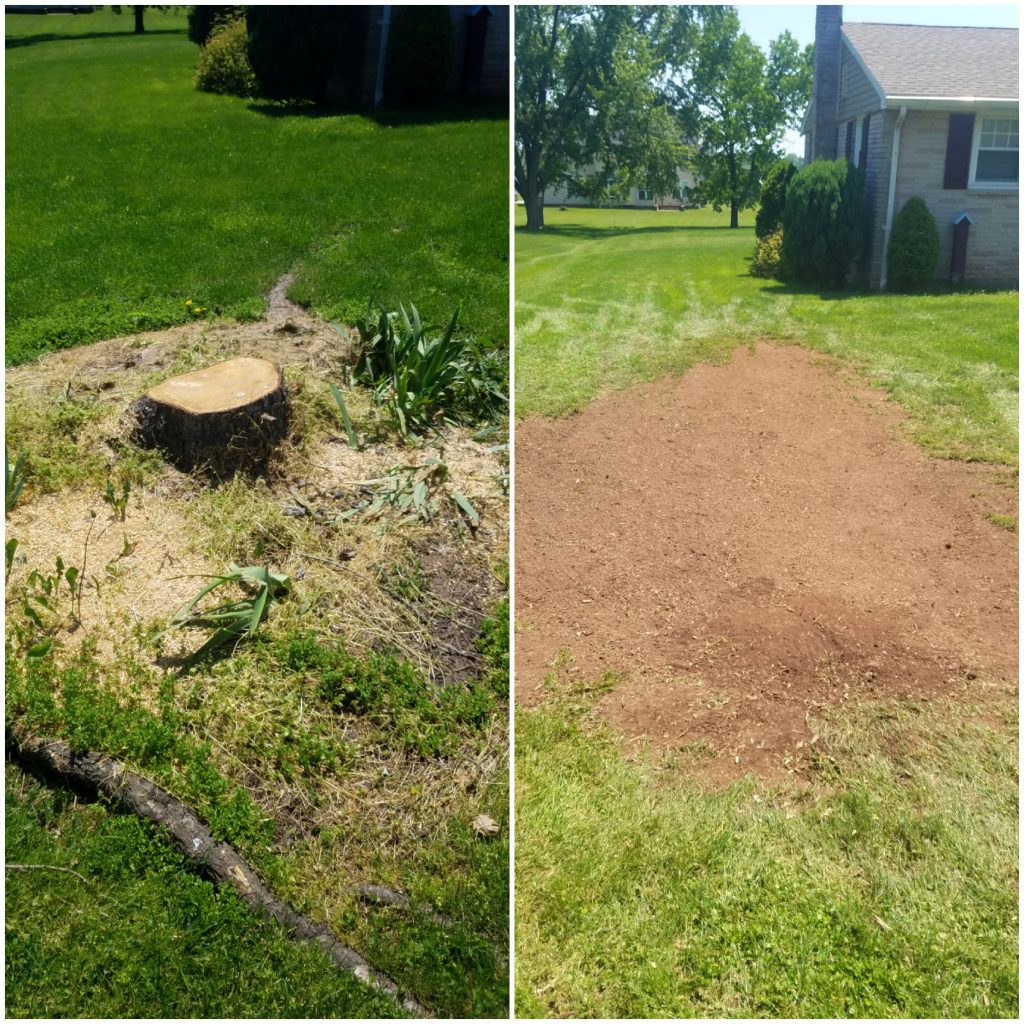 Stump Removal Specialty Tree Service
